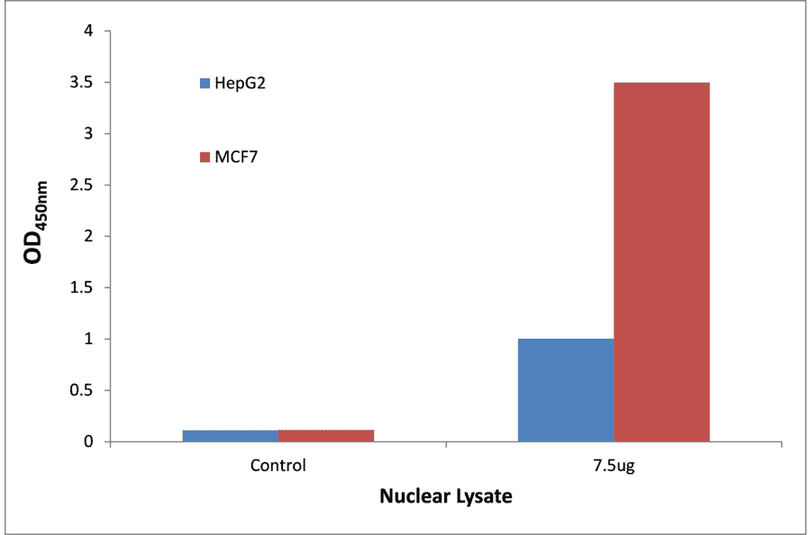 Validation Data - p53 ELISA Kit (TFE-7124) - Antibodies.com