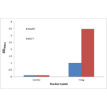 Validation Data - p53 ELISA Kit (TFE-7124) - Antibodies.com