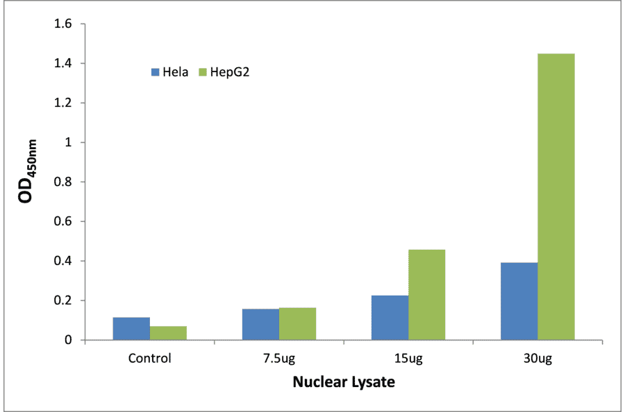 Validation Data - p63 ELISA Kit (TFE-7125) - Antibodies.com