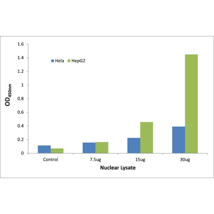 Validation Data - p63 ELISA Kit (TFE-7125) - Antibodies.com