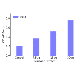 Validation Data - SP1 ELISA Kit (TFE-7141) - Antibodies.com