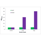 Validation Data - NRL ELISA Kit (TFE-7212) - Antibodies.com