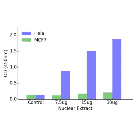 Validation Data - GR ELISA Kit (TFE-7082) - Antibodies.com