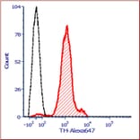 Immunofluorescence - Anti-Tyrosine Hydroxylase Antibody (A104316) - Antibodies.com