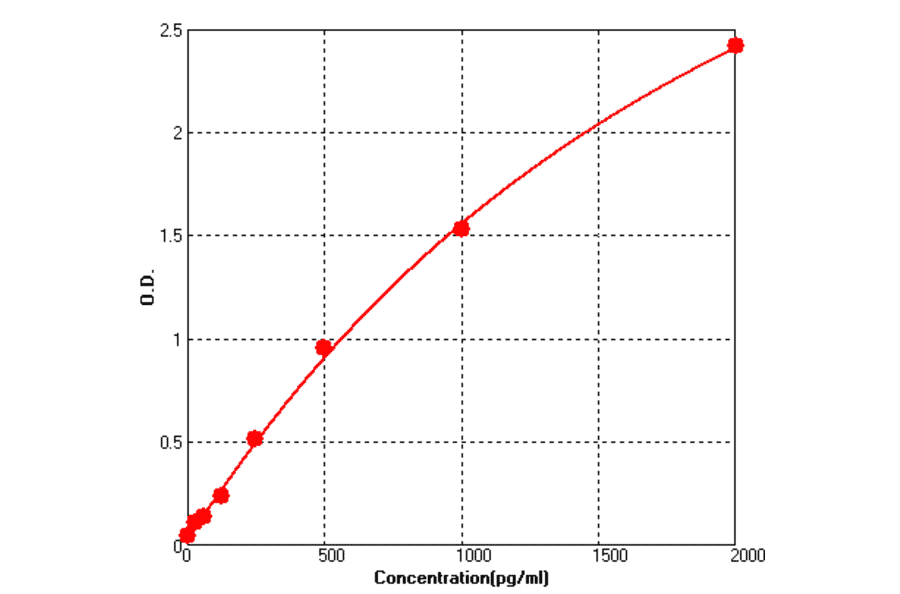 Standard Curve - Rabbit BDNF ELISA Kit (BEK1260) - Antibodies.com