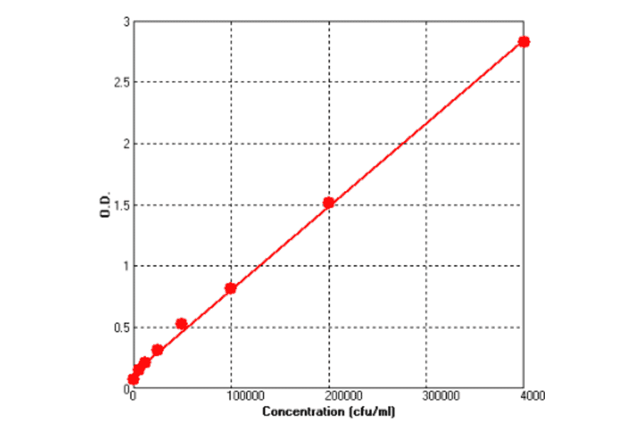 Standard Curve - E.coli O157:H7 ELISA Kit (BEK1249) - Antibodies.com