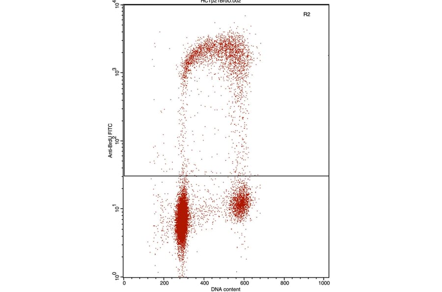 Flow Cytometry - Anti-BrdU Antibody [IIB5] (A115514) - Antibodies.com