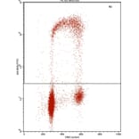 Flow Cytometry - Anti-BrdU Antibody [IIB5] (A115514) - Antibodies.com