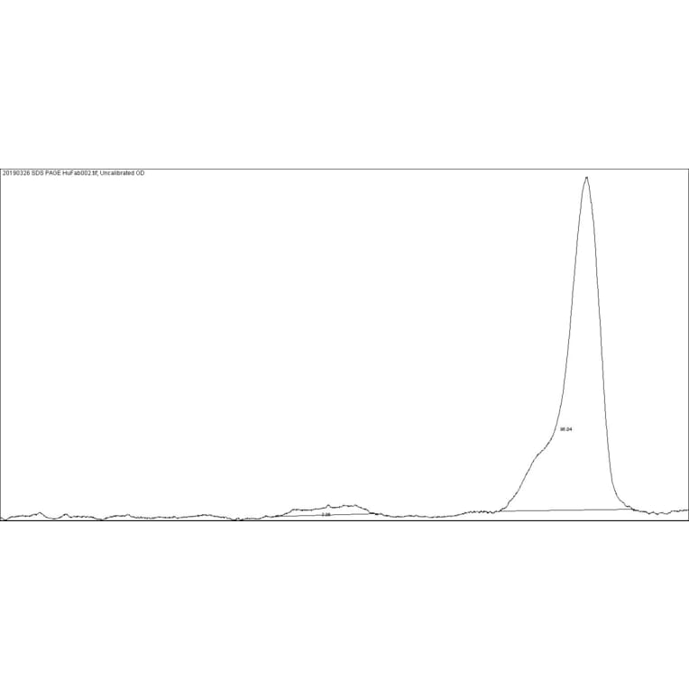 SDS-PAGE - Native Human IgG F(ab) (A116308) - Antibodies.com