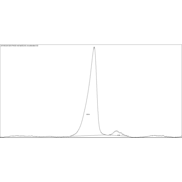 SDS-PAGE - Native Human IgG F(ab) (A116308) - Antibodies.com