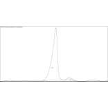 SDS-PAGE - Native Human IgG F(ab) (A116308) - Antibodies.com