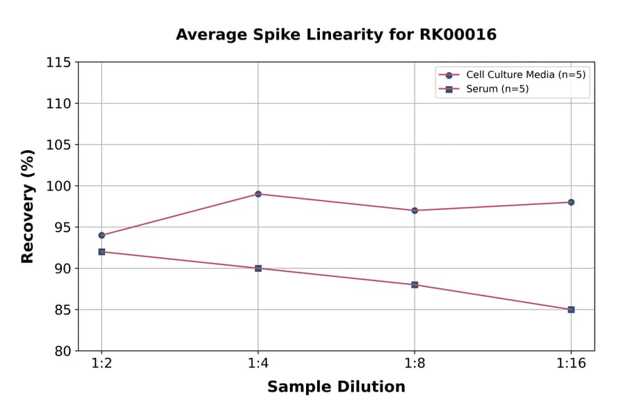 Standard Curve - Mouse IL-10 ELISA Kit (A117463) - Antibodies.com