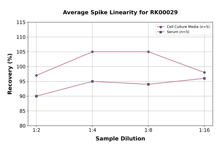 Standard Curve - Rat TNF alpha ELISA Kit (A117474) - Antibodies.com