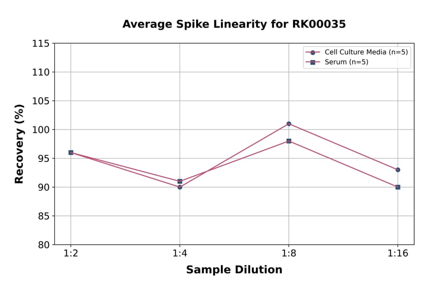 Standard Curve - Human Leptin ELISA Kit (A117480) - Antibodies.com