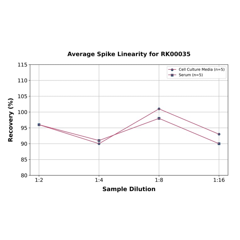 Standard Curve - Human Leptin ELISA Kit (A117480) - Antibodies.com