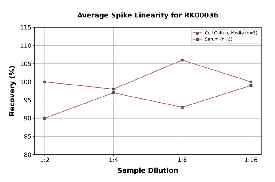 Standard Curve - Mouse IL-4 ELISA Kit (A117481) - Antibodies.com