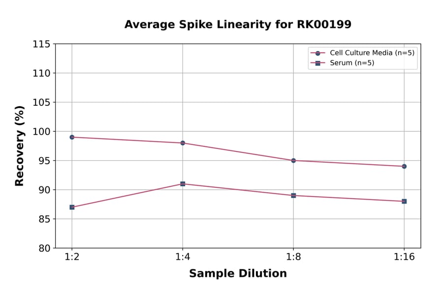 Standard Curve - Rat IFN gamma ELISA Kit (A117515) - Antibodies.com