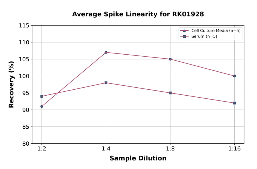 Standard Curve - Human NF-L ELISA Kit (A117953) - Antibodies.com
