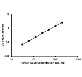 Standard Curve - Human RAGE ELISA Kit (A118647) - Antibodies.com