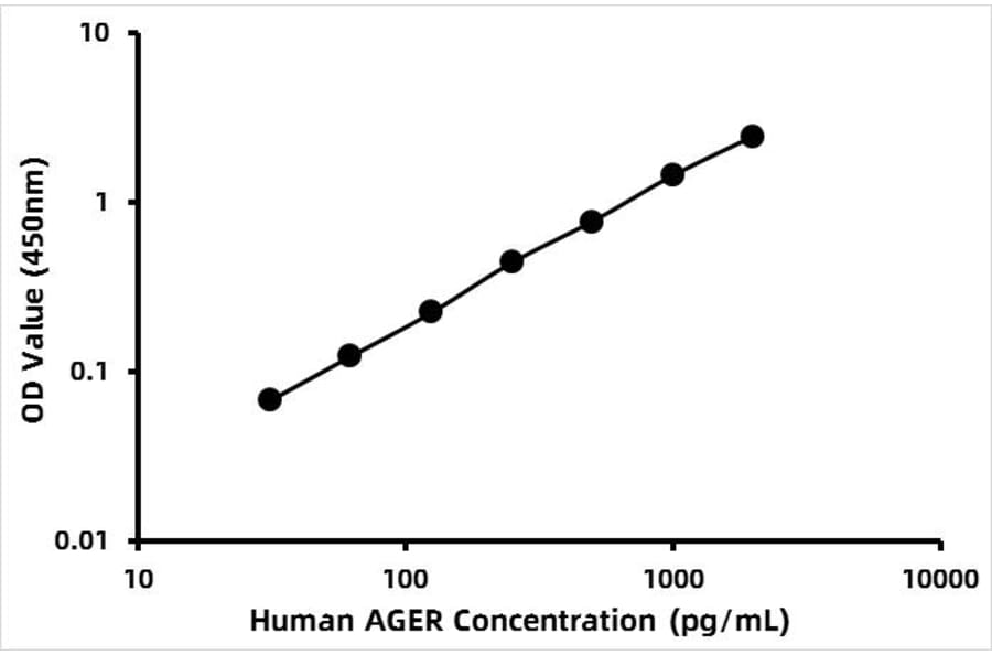 Standard Curve - Human RAGE ELISA Kit (A118647) - Antibodies.com