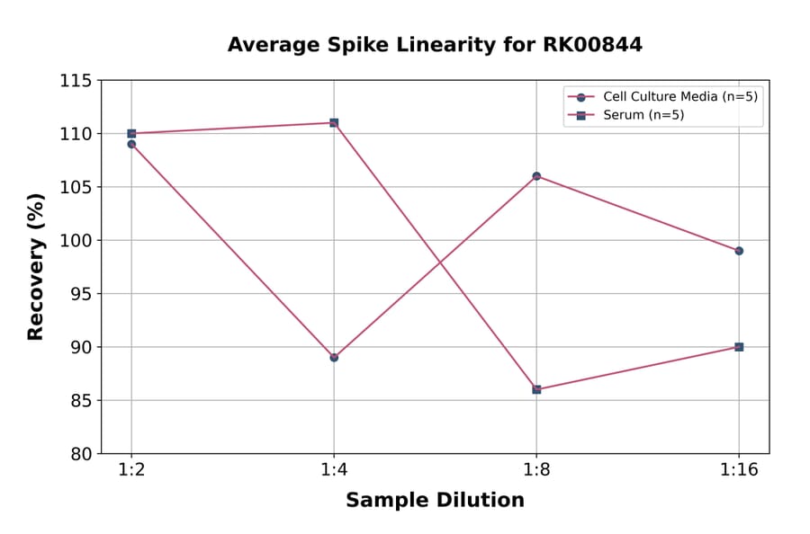 Standard Curve - Human RAGE ELISA Kit (A118647) - Antibodies.com
