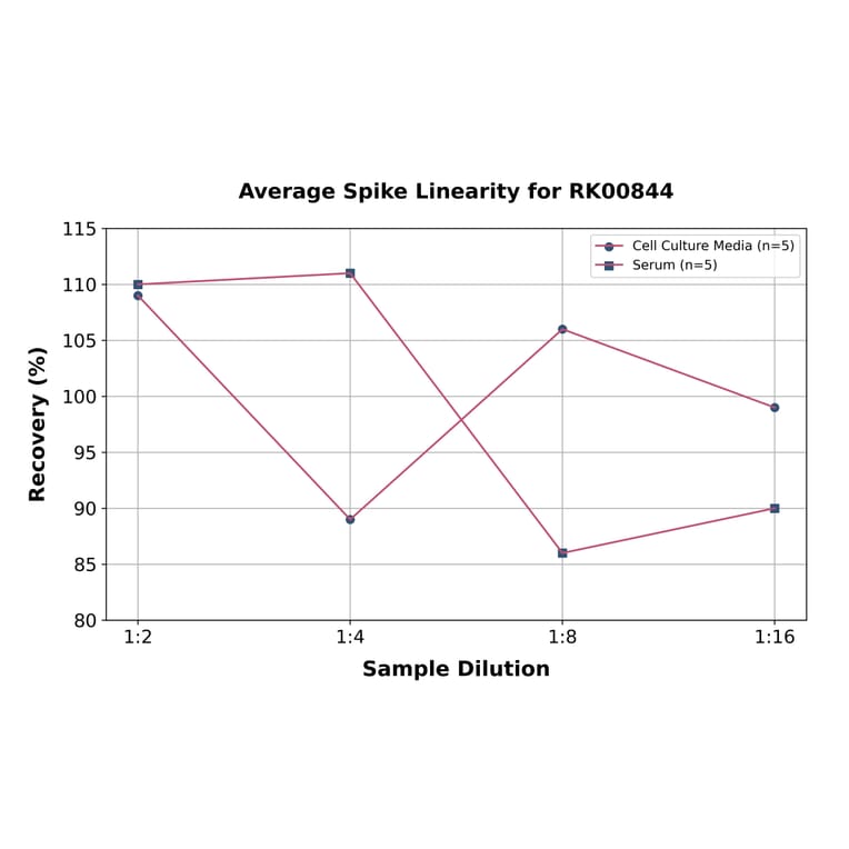 Standard Curve - Human RAGE ELISA Kit (A118647) - Antibodies.com