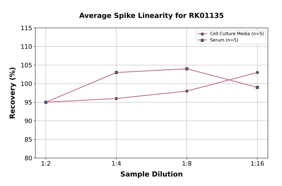 Standard Curve - Human Clusterin ELISA Kit (A118739) - Antibodies.com
