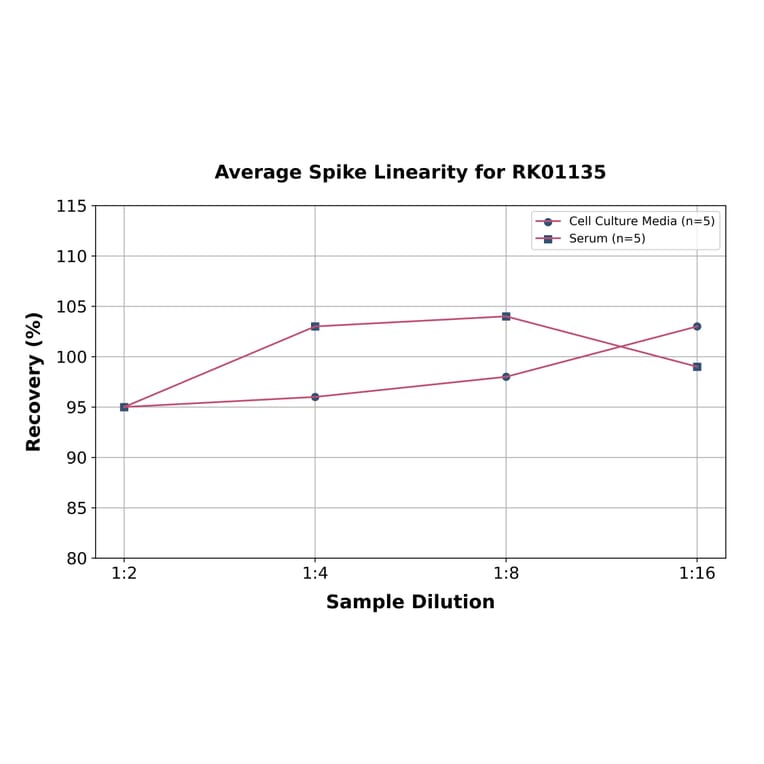 Standard Curve - Human Clusterin ELISA Kit (A118739) - Antibodies.com