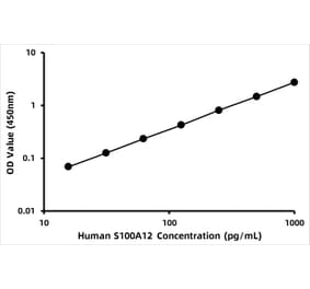Standard Curve - Human S100A12 ELISA Kit (A119043) - Antibodies.com