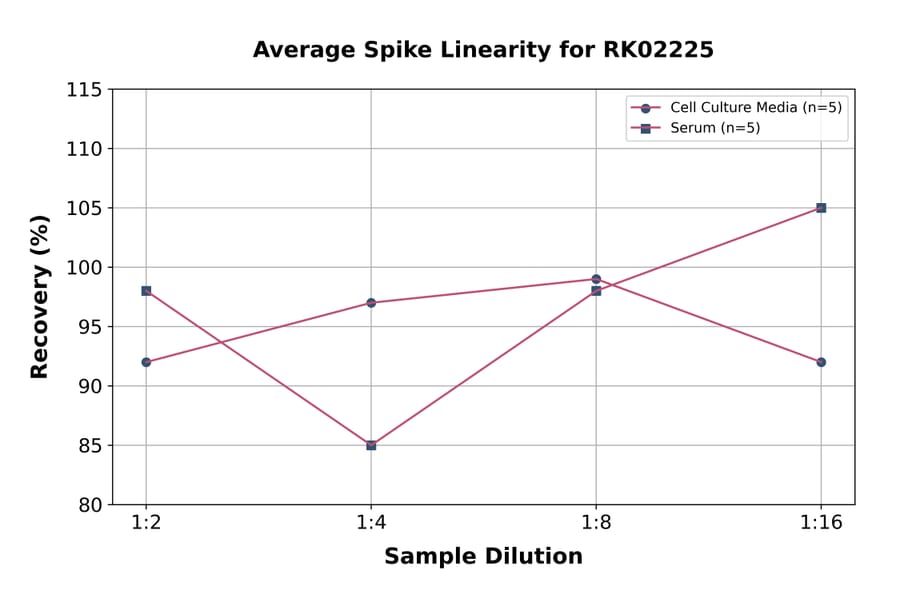 Standard Curve - Human S100A12 ELISA Kit (A119043) - Antibodies.com