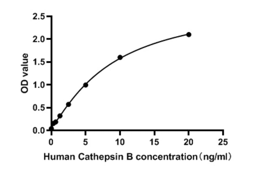 Standard Curve - Human Cathepsin B ELISA Kit (A119843) - Antibodies.com