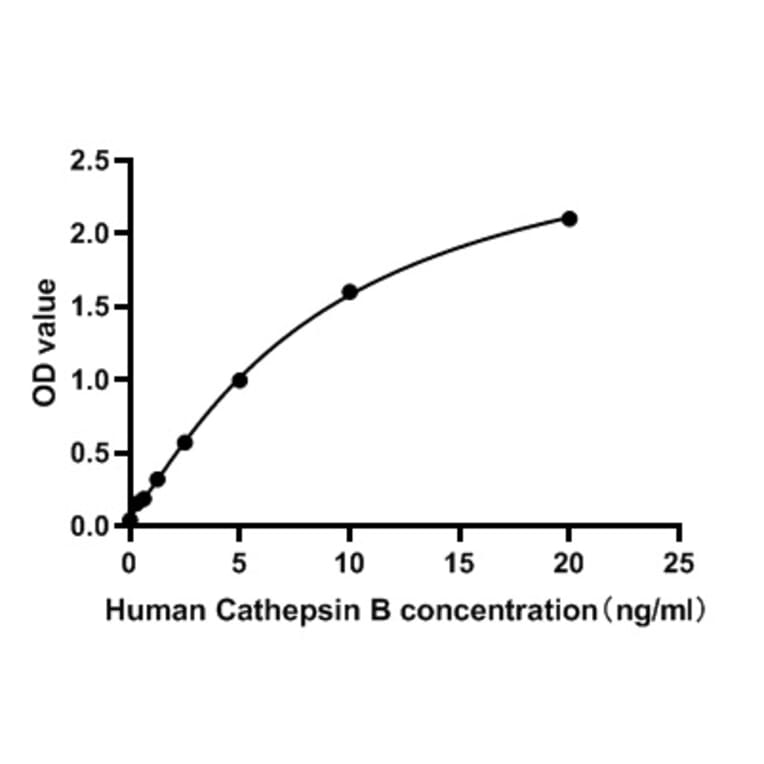 Standard Curve - Human Cathepsin B ELISA Kit (A119843) - Antibodies.com