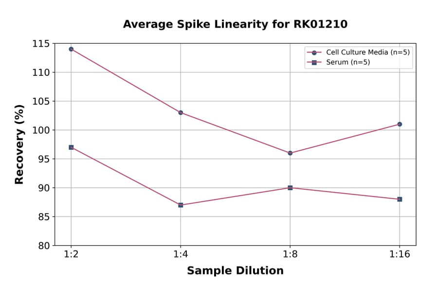 Standard Curve - Human Cathepsin B ELISA Kit (A119843) - Antibodies.com
