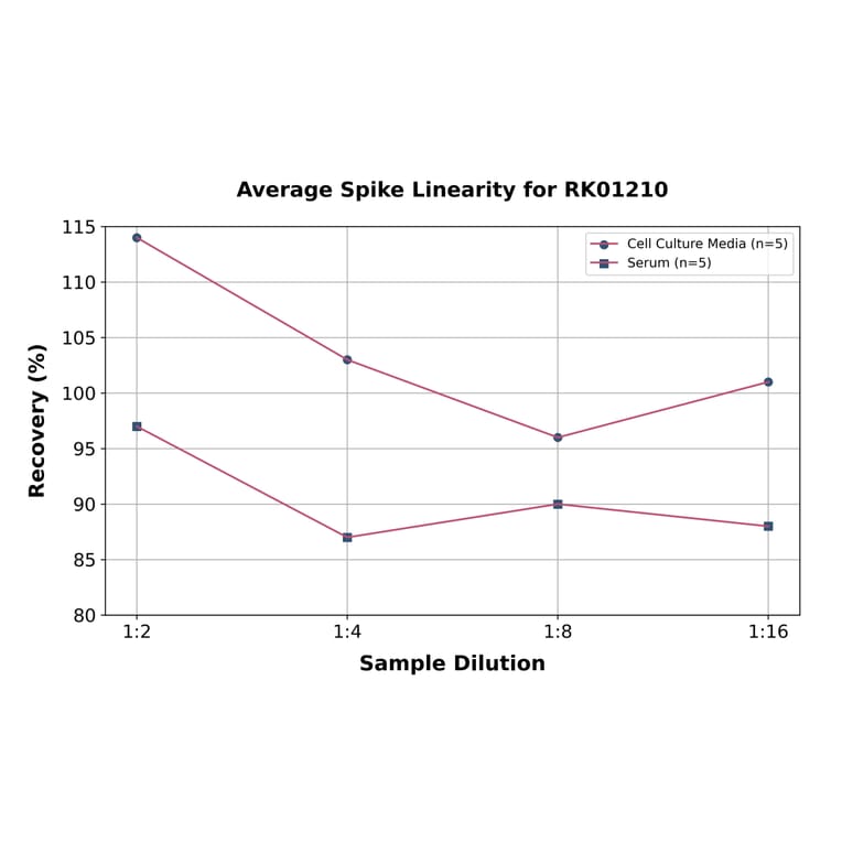 Standard Curve - Human Cathepsin B ELISA Kit (A119843) - Antibodies.com