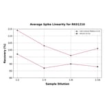 Standard Curve - Human Cathepsin B ELISA Kit (A119843) - Antibodies.com