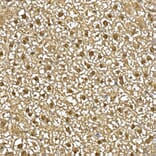 Immunohistochemistry - Anti-Visfatin Antibody (A12579) - Antibodies.com