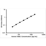 Standard Curve - Human VILIP1 ELISA Kit (A120588) - Antibodies.com