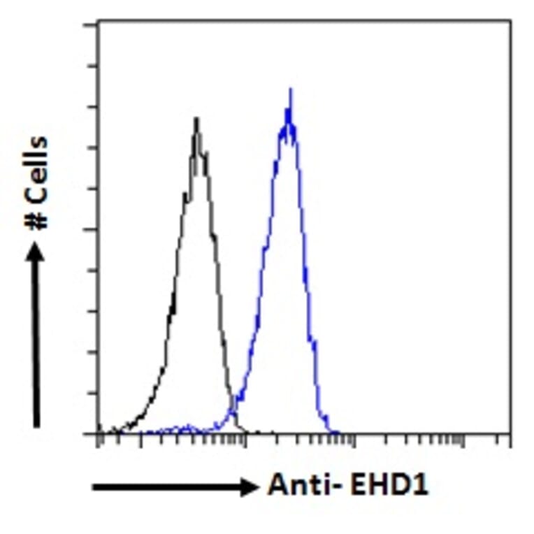 Flow Cytometry - Anti-EHD1 Antibody (A121141) - Antibodies.com