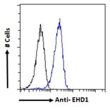 Flow Cytometry - Anti-EHD1 Antibody (A121141) - Antibodies.com