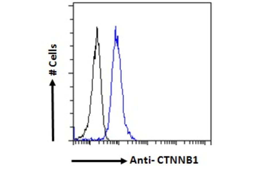 Flow Cytometry - Anti-beta Catenin Antibody (A121145) - Antibodies.com