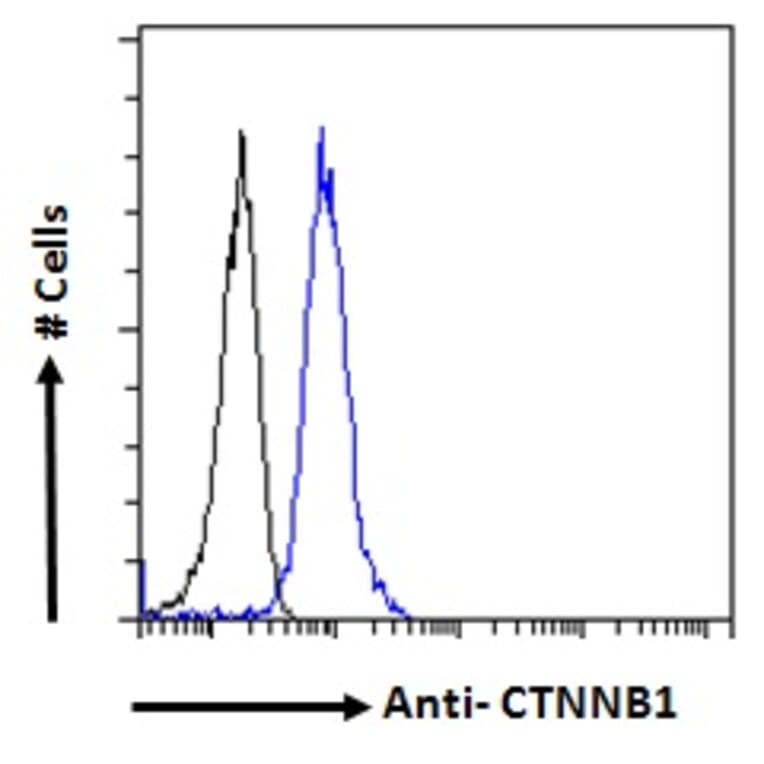 Flow Cytometry - Anti-beta Catenin Antibody (A121145) - Antibodies.com