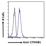 Flow Cytometry - Anti-beta Catenin Antibody (A121145) - Antibodies.com