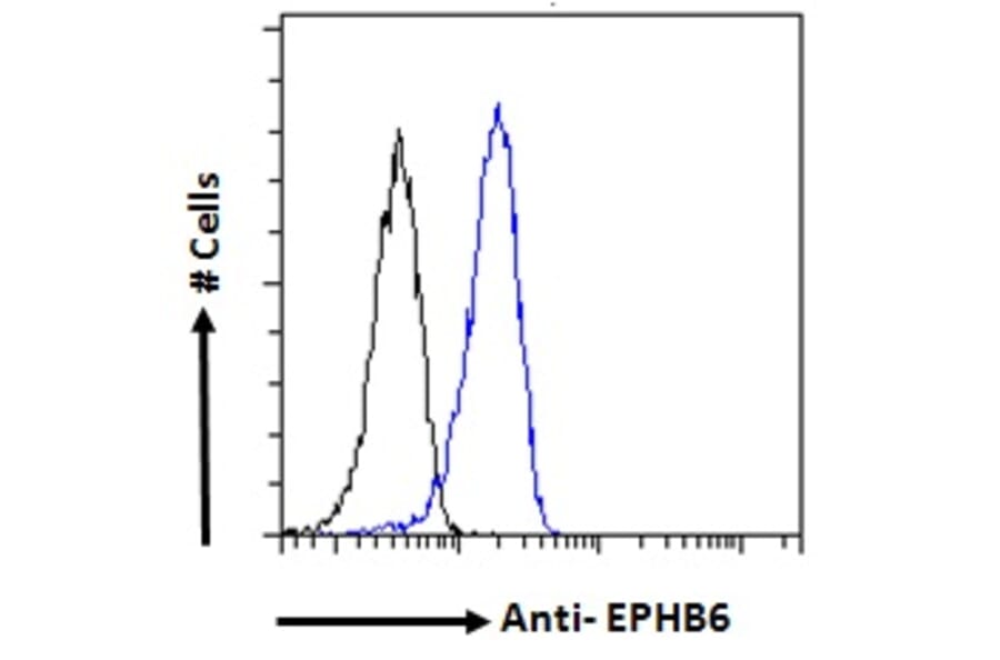 Flow Cytometry - Anti-Eph Receptor B6 Antibody (A121146) - Antibodies.com