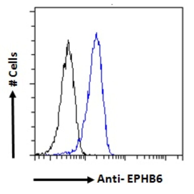 Flow Cytometry - Anti-Eph Receptor B6 Antibody (A121146) - Antibodies.com