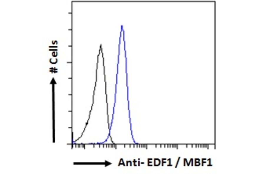 Flow Cytometry - Anti-EDF1 Antibody (A121147) - Antibodies.com