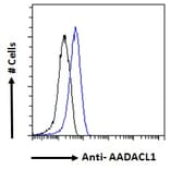 Flow Cytometry - Anti-AADACL1 Antibody (A121150) - Antibodies.com