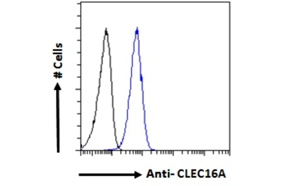 Flow Cytometry - Anti-CLEC16A Antibody (A121152) - Antibodies.com
