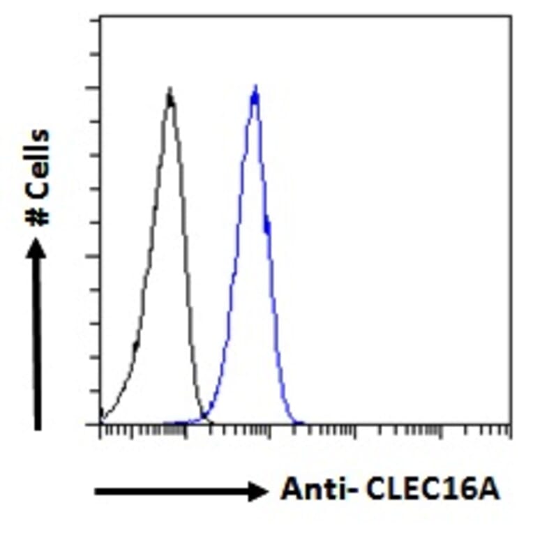 Flow Cytometry - Anti-CLEC16A Antibody (A121152) - Antibodies.com