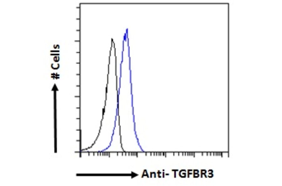 Flow Cytometry - Anti-TGFBR3 Antibody (A121154) - Antibodies.com