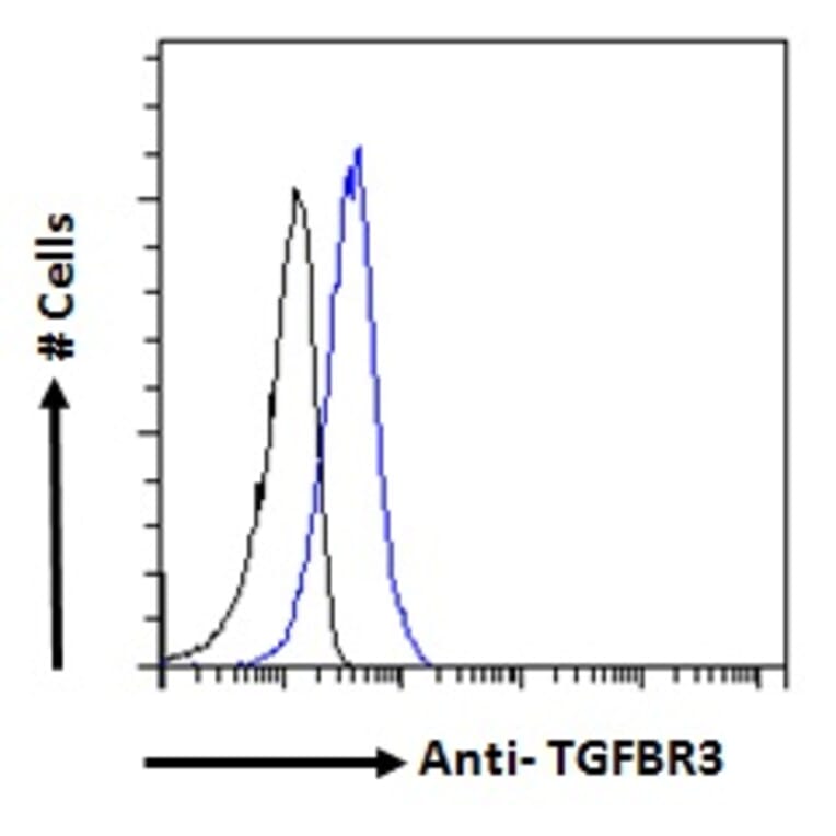 Flow Cytometry - Anti-TGFBR3 Antibody (A121154) - Antibodies.com